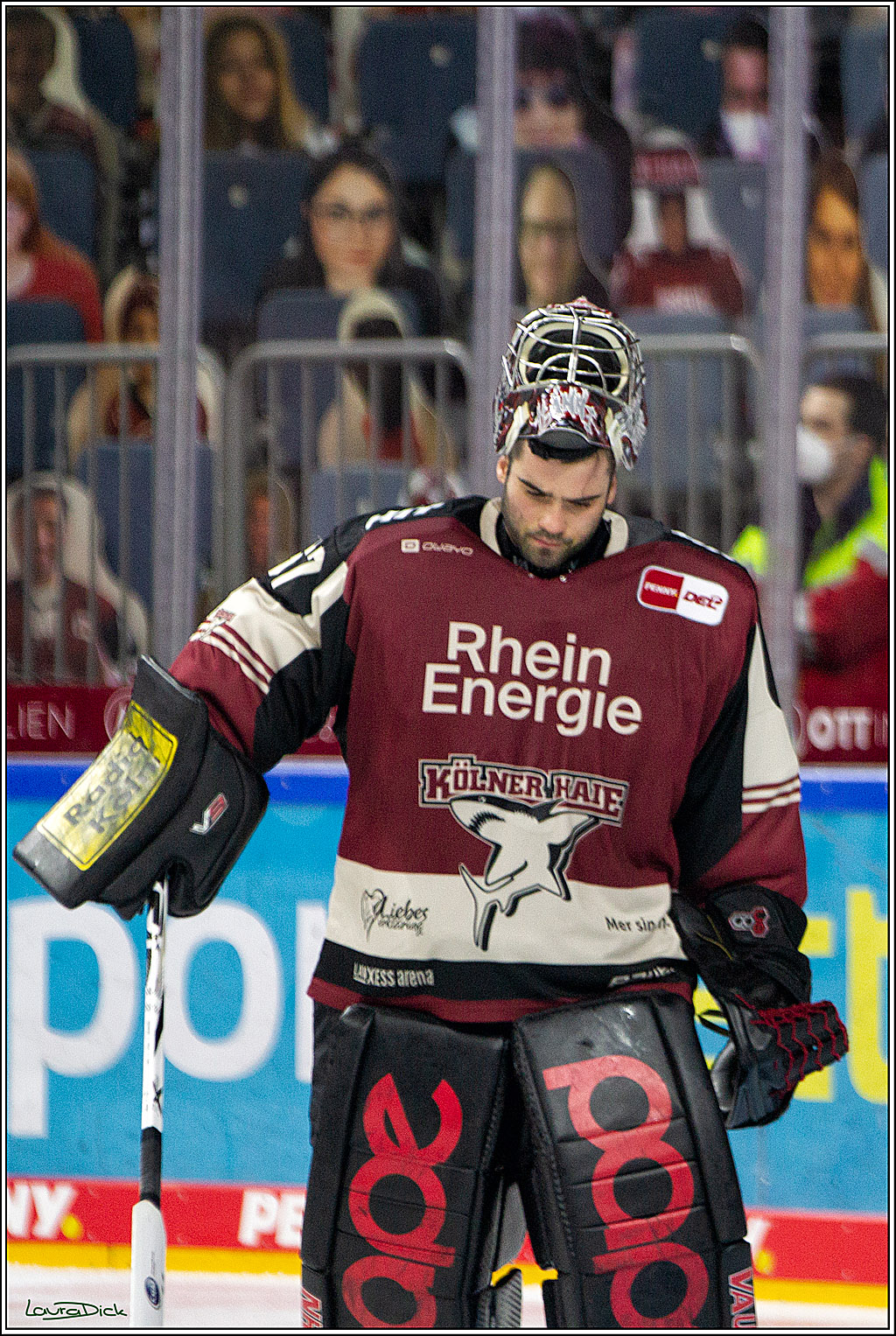 PENNY DEL;  Koelner Haie - Nuernberger Ice Tigers; Koeln, 25.03.2021